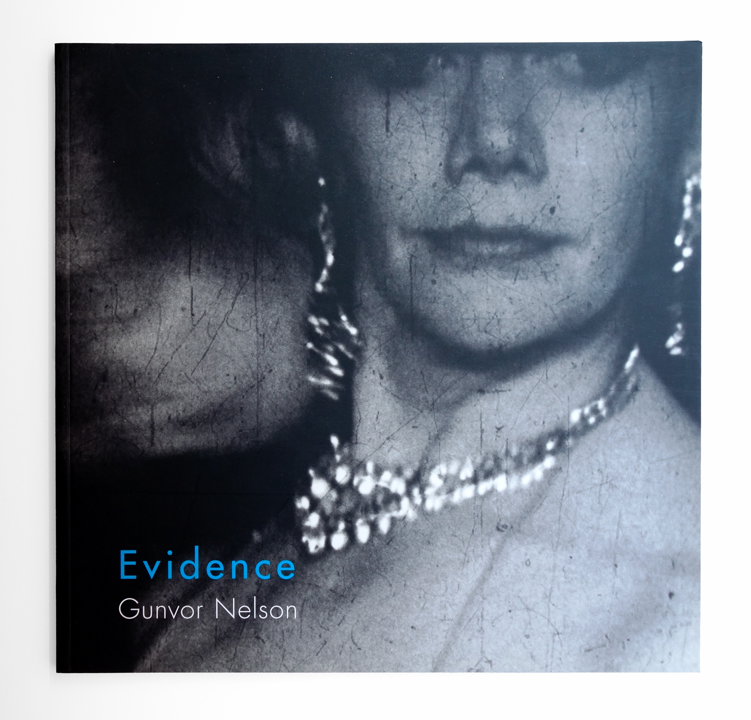 Gunvor Nelson: Evidence